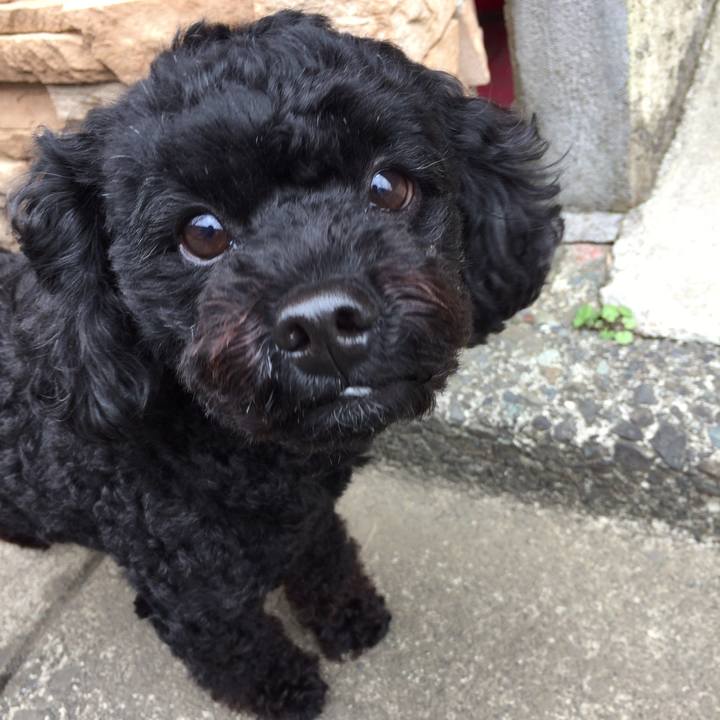 Df3ae8f5 4009 4ae3 9a3a 0d8bf2385af8 1523852719607