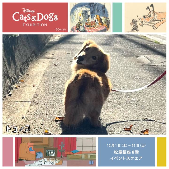 Df3b01ae 63b7 45c8 971c de5cda962b74 1638368031980