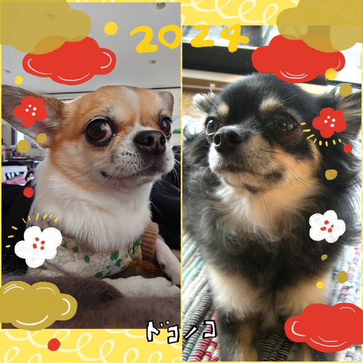 Df3b0dc9 bd20 4cb6 8a5c 236e98cea0b8 1704184511185