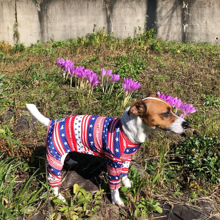 Df3b176f 7323 4f1f 9cb1 565722326a9f 1570621731594