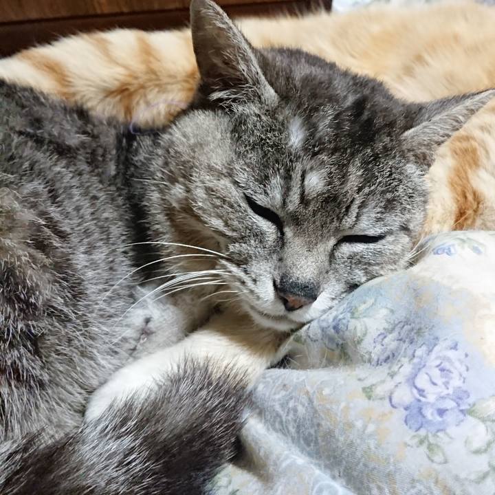 Df3b22bc 970b 454f 8e41 45dcbe50fc38 1589372937446