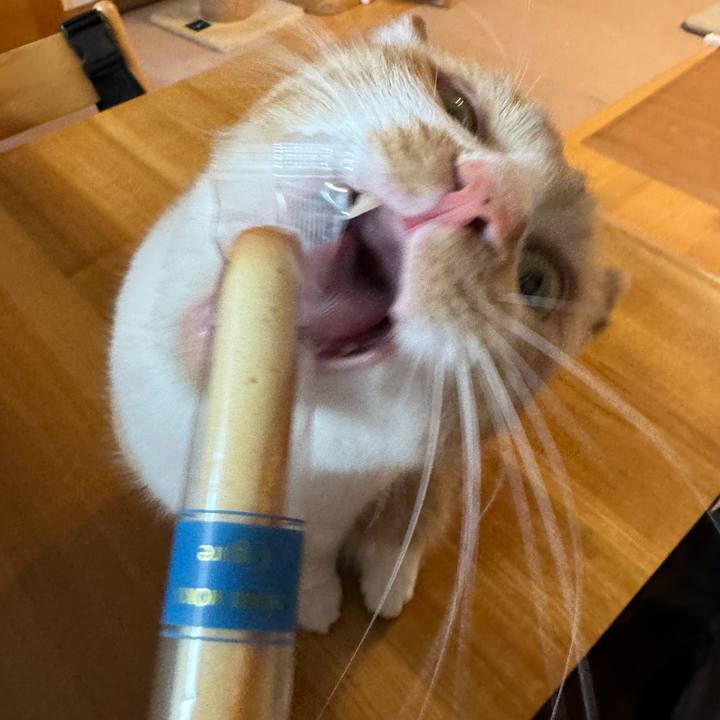 Df3b408d 568a 4c20 a104 45f495773ef8 1767857853101