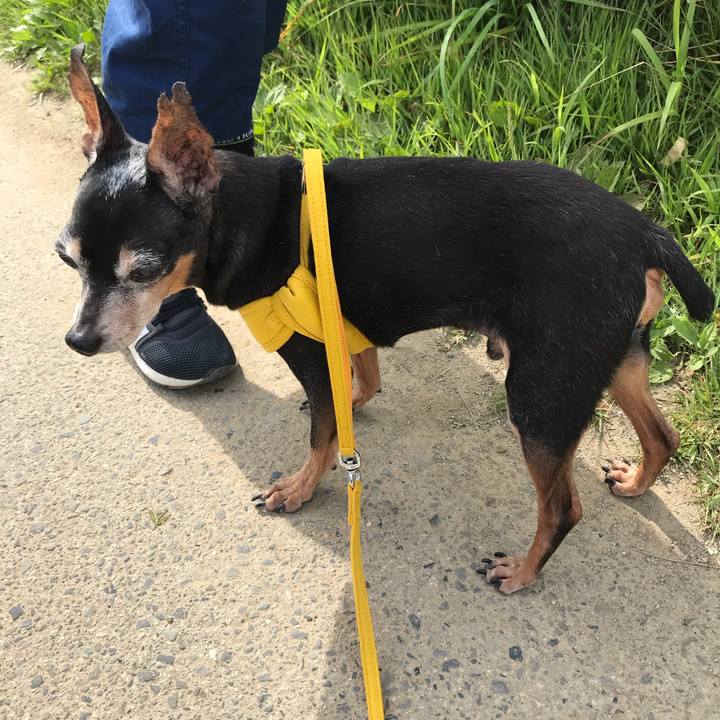 Df3b4475 4d7e 42b0 bf7a d87d6d7e3ee9 1535288145722