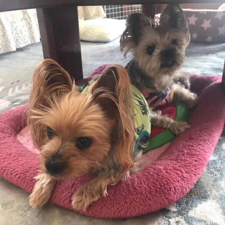 Df3b91f2 b87b 43fb 9790 f05a832d7cc9 1581499120224