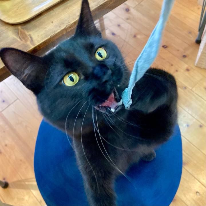 Df3bec55 1a40 483f a3e4 e5c83d17f23e 1731805134514