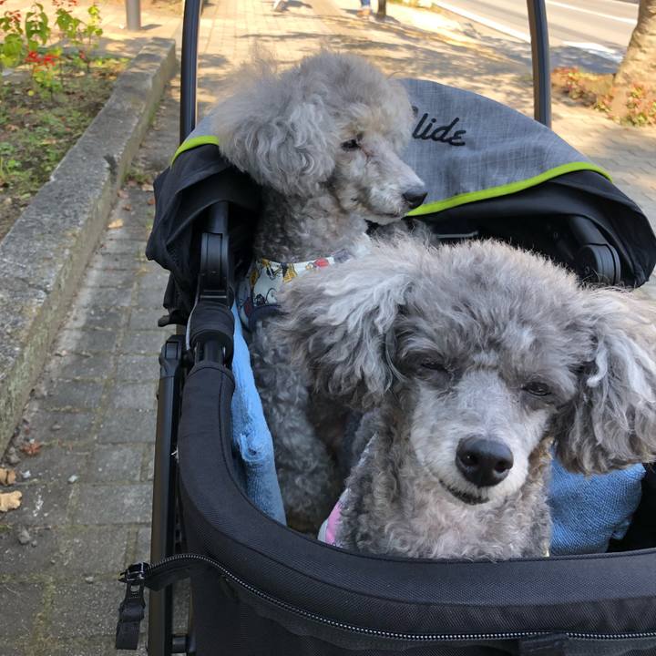 Df3c074e 042c 4c48 a3cc e1a53dd25476 1569751672018