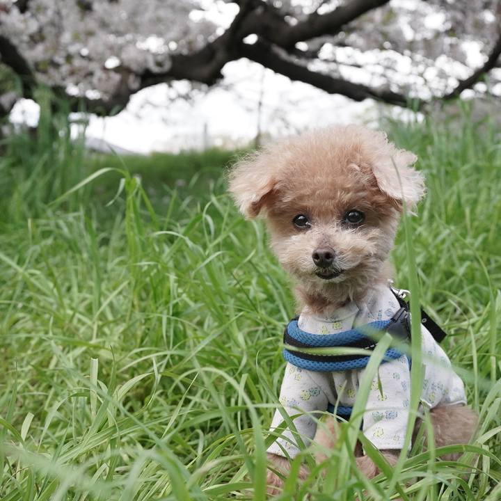 Df3c473a af62 4a08 9570 7c100daf4152 1697115381160