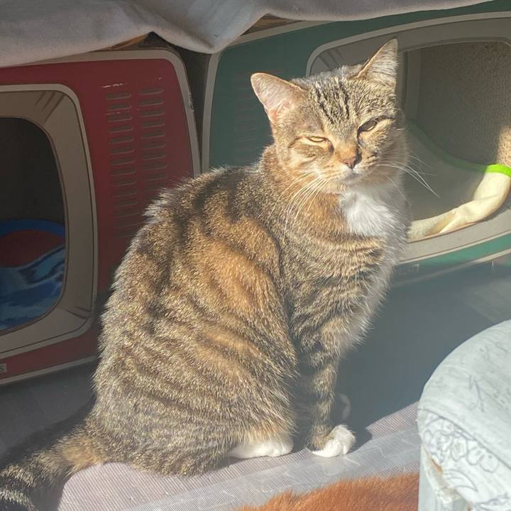 Df3c5432 4197 4a50 8e19 7cf71ae1679e 1640570464486