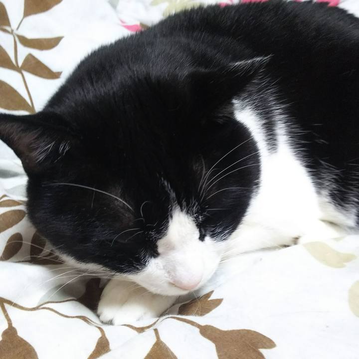 Df3c64ba b391 4a89 ab65 1e2192efe5d7 1543182424838