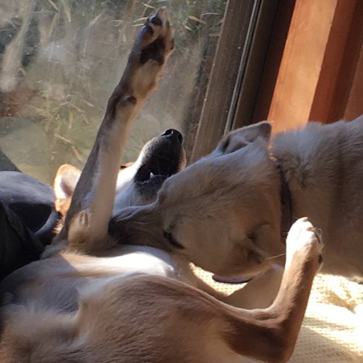 Df3ca89d 94f2 4a64 aa48 b939b69f2068 1515406458598