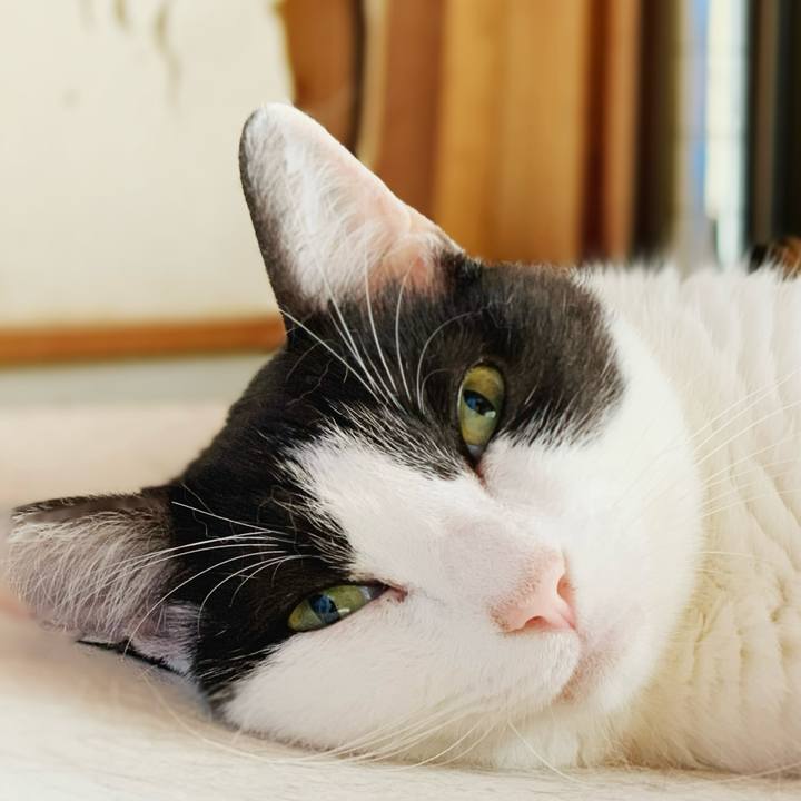 Df3cbb49 0a4d 425d a6a1 c7dcce84f608 1598665346200