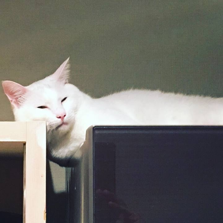 Df3cc1a0 d3bb 4512 bc4e 2e1fc61cda7d 1525959149852