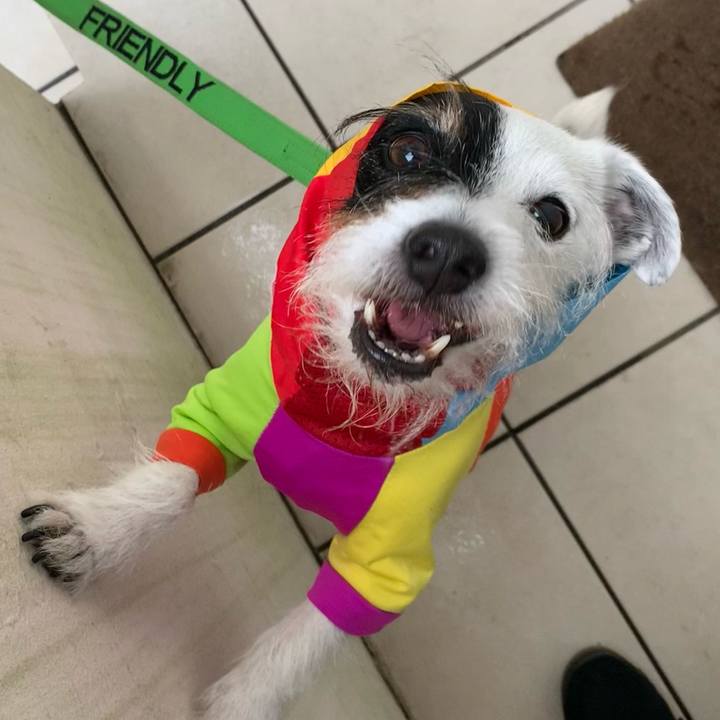 Df3ce8fe b754 48d7 9d14 e141ecc8d04b 1685320057910