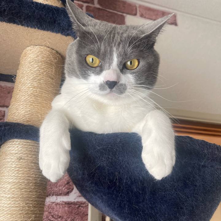 Df3cf888 41bf 4138 80d1 67e580d901a8 1673055295217