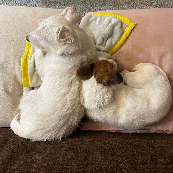 Df3d1b79 db87 46e4 8fe2 889f10190642 1772450471728