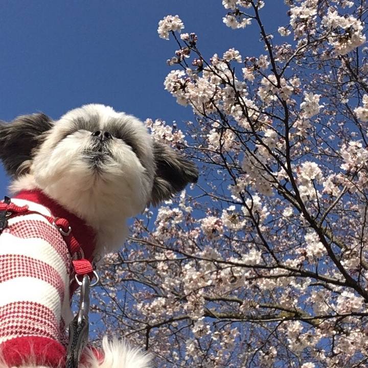 Df3d30ec c0eb 4130 86b7 42a841c41a14 1521989665466