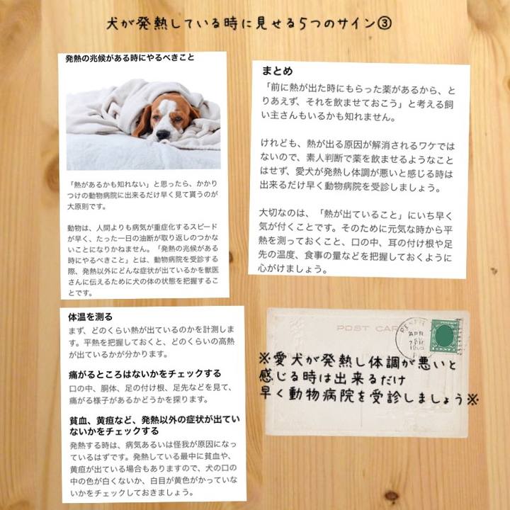 Df3d3484 8f5b 4a67 a693 1735f25b81f5 1525830293946