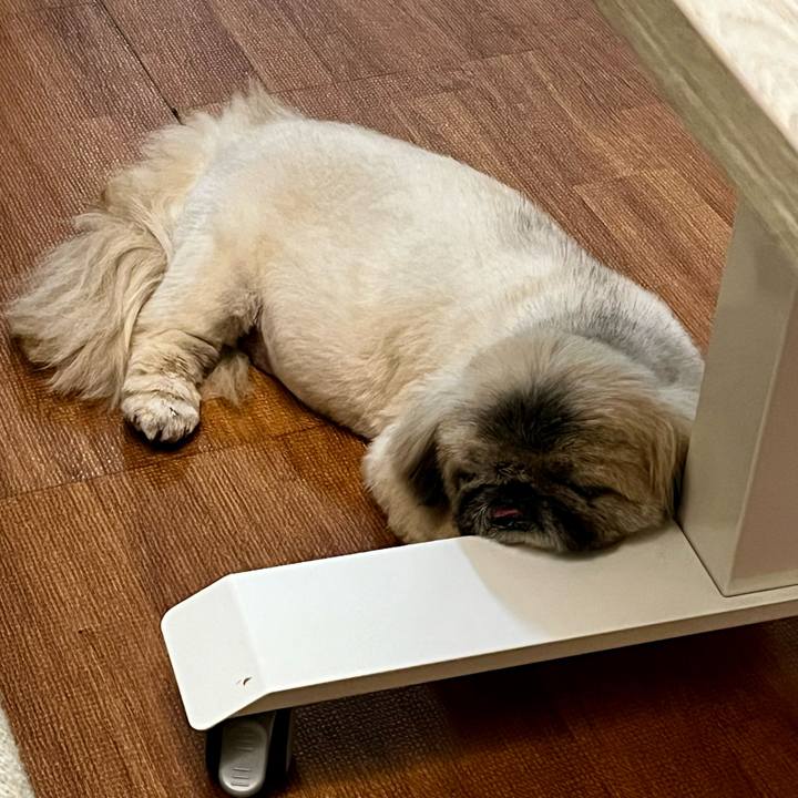 Df3d5f22 0f07 4708 ac3f 05ad13fefbc4 1771927310938