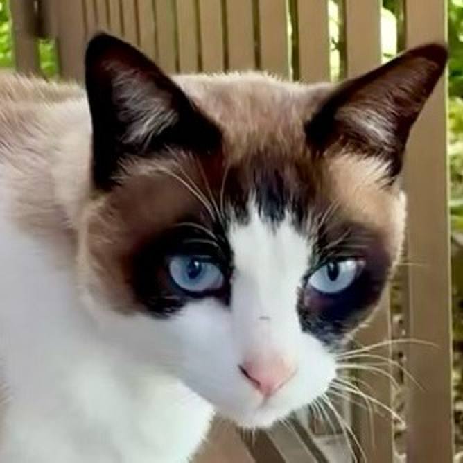 Df3d7350 e059 452d 8bf8 03f8a44d8764 1745200854818