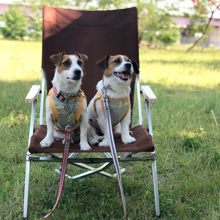 Df3dbdc0 2bde 4ea2 8ee0 83b039f649cf 1528035966895