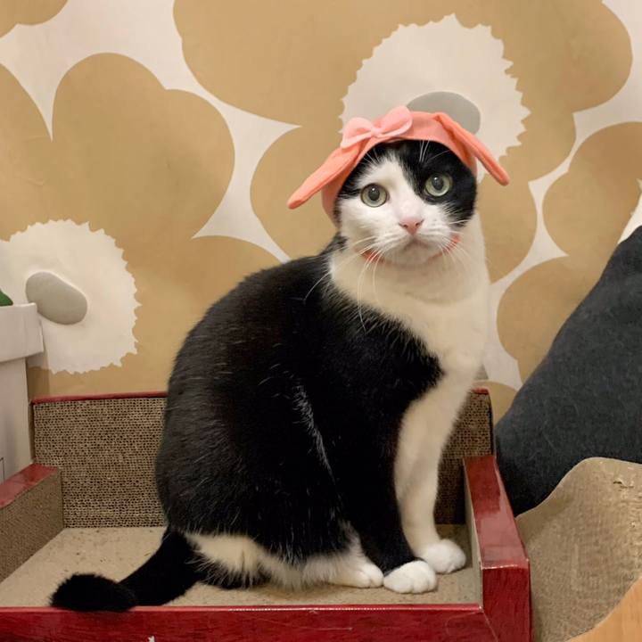 Df3dbf76 c175 4781 96c0 225848828562 1681049974855