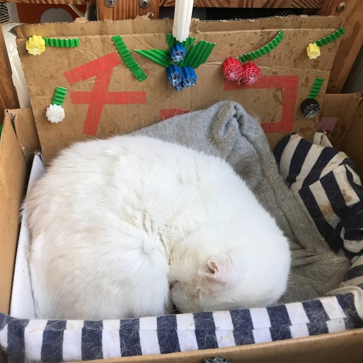 Df3dd8c2 b1d7 405a 8a97 17cc3124c44b 1549929729036