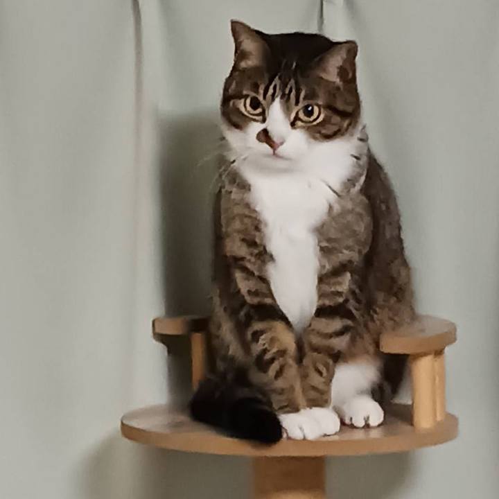 Df3e3c78 5512 476e b2a8 0c5f6681ab45 1771656504127