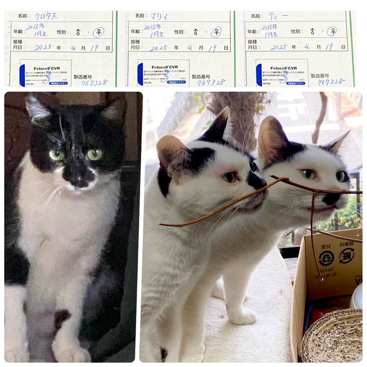 Df3e5765 4a41 4e02 9556 23bcecb3a3dd 1745151418382