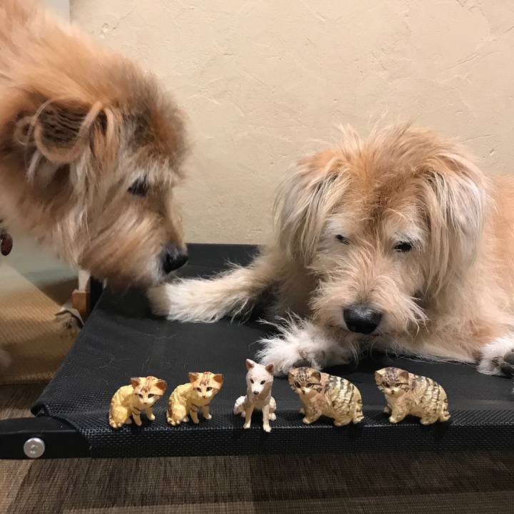 Df3e5c9e 1107 45ef a8fb e064c4cbb308 1632821854901