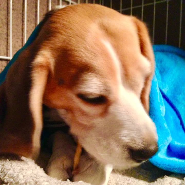 Df3eaa43 597c 4938 8bfd b8016823c7db 1773285557975