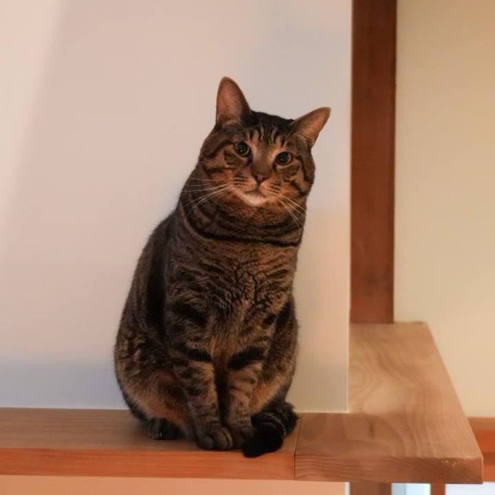 Df3f0058 7c6b 4cf3 ba47 effc88d20707 1730155960862