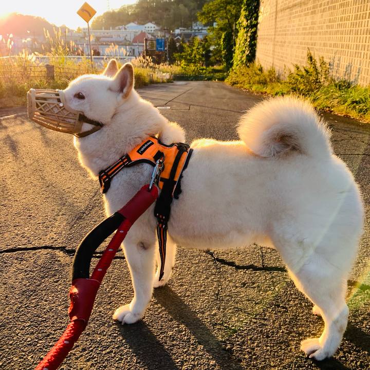 Df3f14a6 c978 4ebe 8036 3d6237e4d271 1665265394881