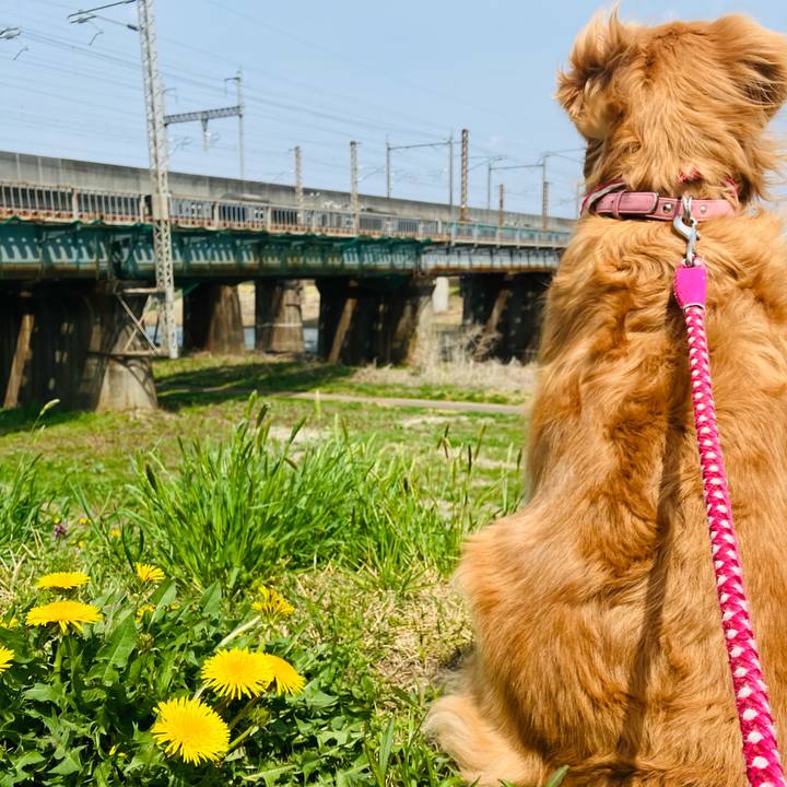 Df3f29dc 53e7 44ca bf49 f771a7a50b9b 1745047389412