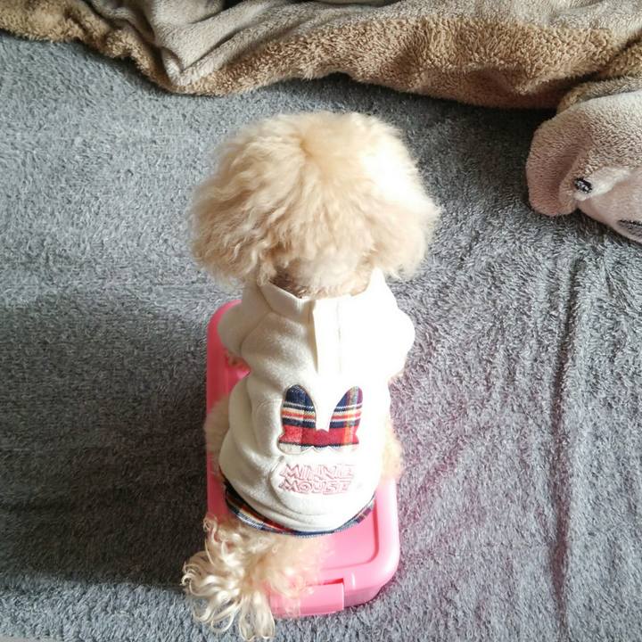 Df3f43f3 d740 44e5 87dd 7c835466e89a 1515574039324