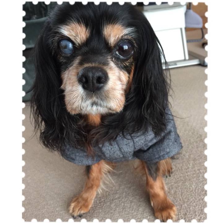 Df3f625b 5f37 44a3 a4aa bcf7177ece84 1512127711004