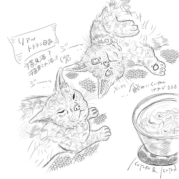 Df3f937b 4e0a 4e87 a7d1 48da61d4cb5d 1624975948697