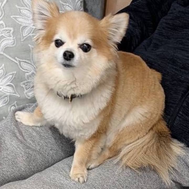 Df3fbb28 251b 4924 a470 3ea54894bcee 1772923704432