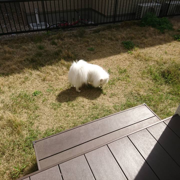 Df3fcf99 18d5 4950 9553 cfb221beec96 1618204347325