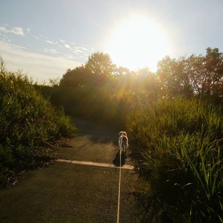 Df3fda6e ce34 4b68 9a7e 1931ca0ba363 1537358119003