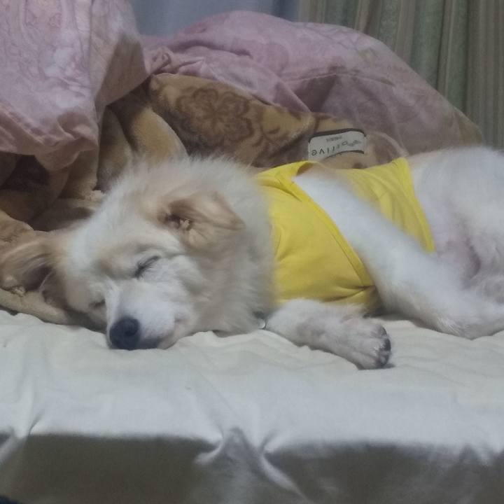 Df409429 77fb 40bc 9697 05d0dc46e627 1636794405541