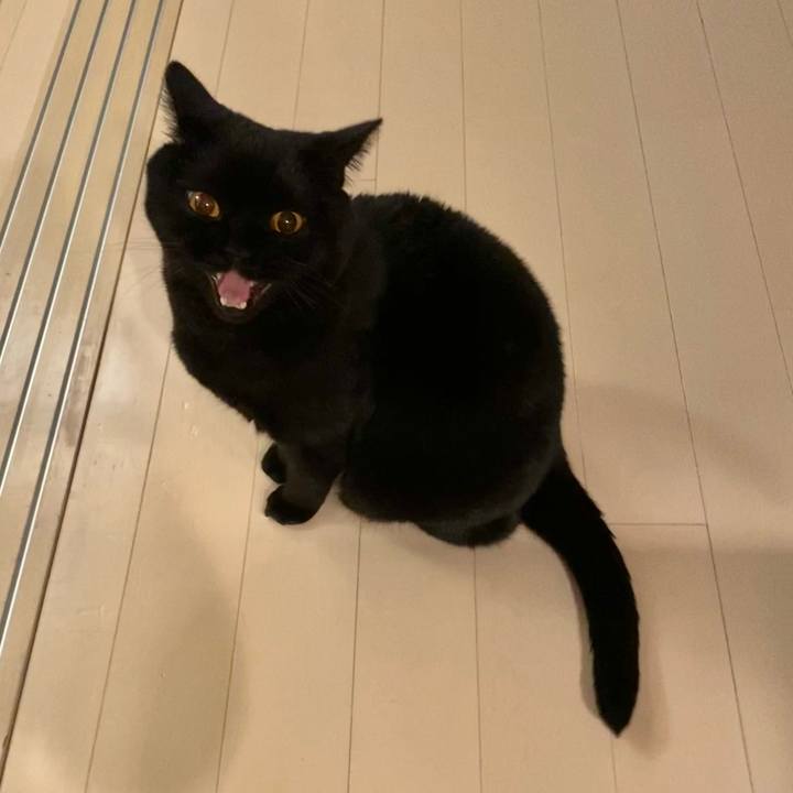 Df40a336 233d 45aa b8f7 36813066530a 1678196491834