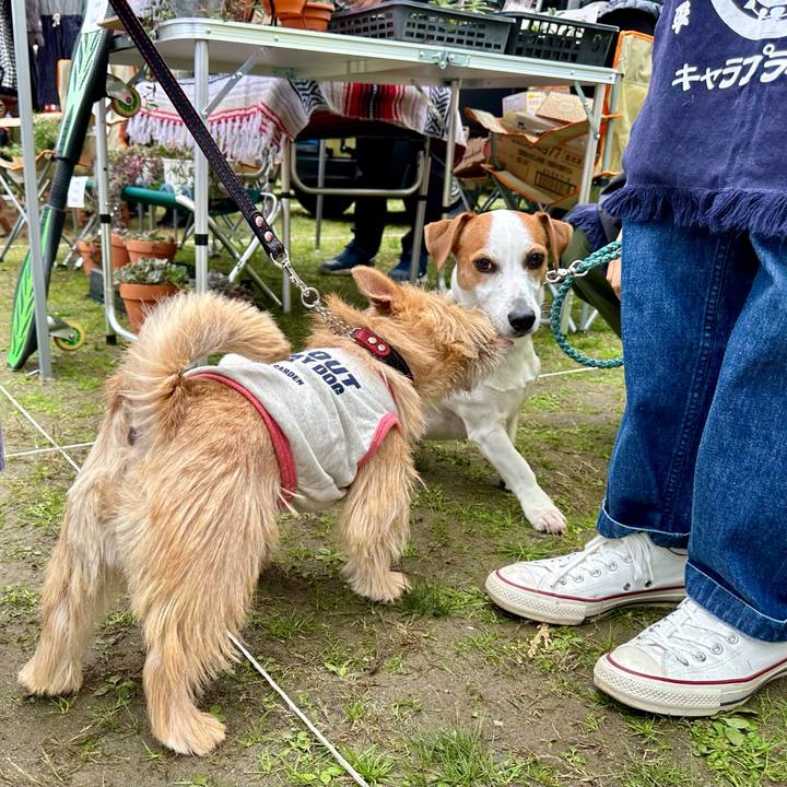 Df40a784 6642 4052 8189 c78855d9f415 1730041892095