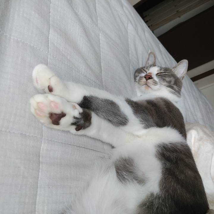 Df40ac26 4742 4a55 a399 e6b5454db152 1595369568785