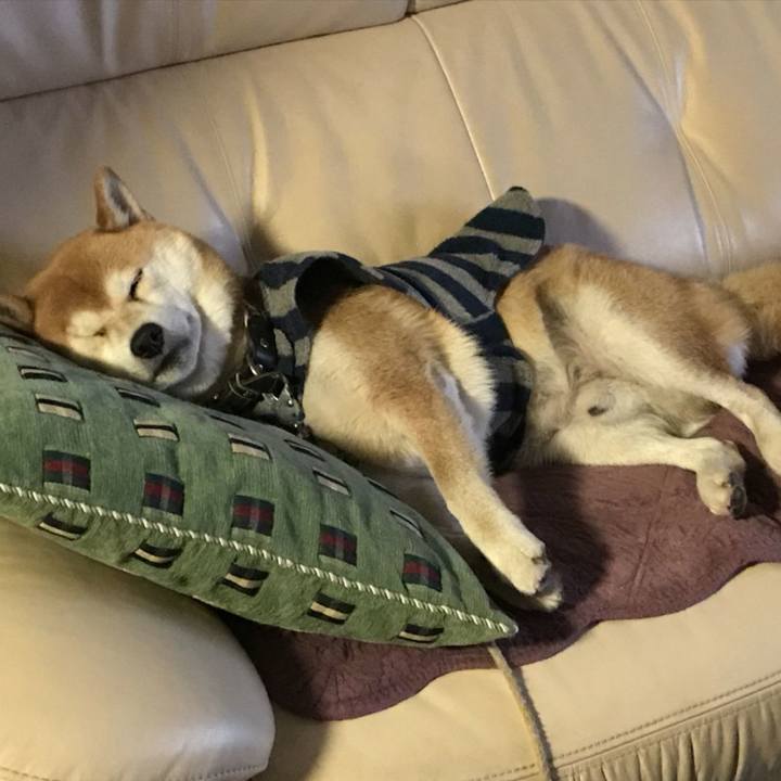 Df40e9d6 aed6 4b55 b4d3 f7edef63fe64 1511770951286