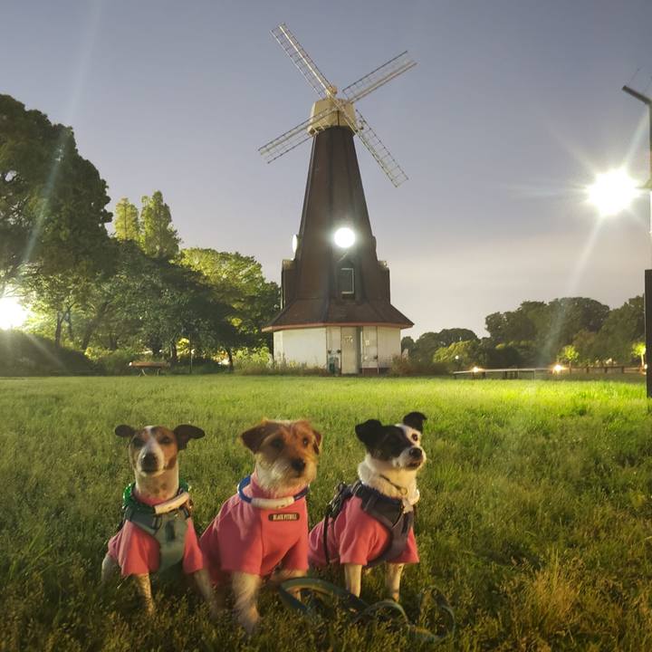 Df411b14 50ae 4557 b423 0ff5cd8d0315 1747911626306