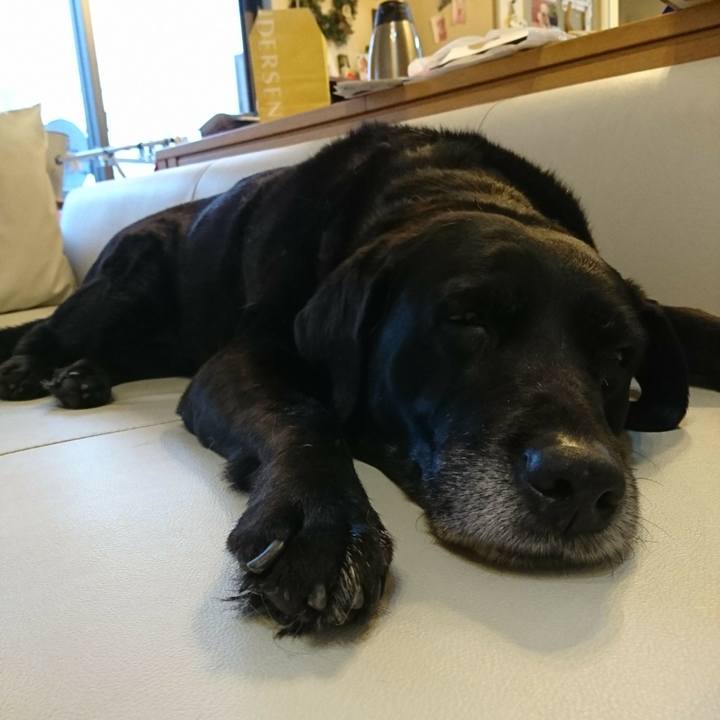 Df411f5c 8b88 4a11 99c4 e80cf4f15d16 1548459122189