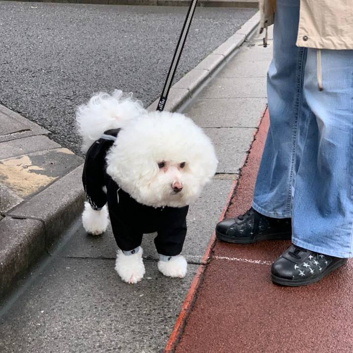 Df412c72 26c2 429b bcba 067330b416b7 1630740847170