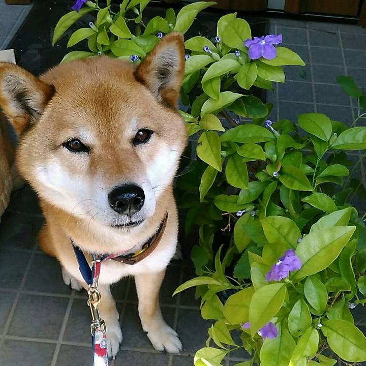 Df413464 9e38 4644 a2c3 71b8cd0051b0 1558053072234