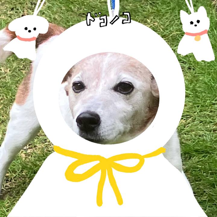 Df414ca1 49a9 40c1 9f7d 76989155a098 1782000807952