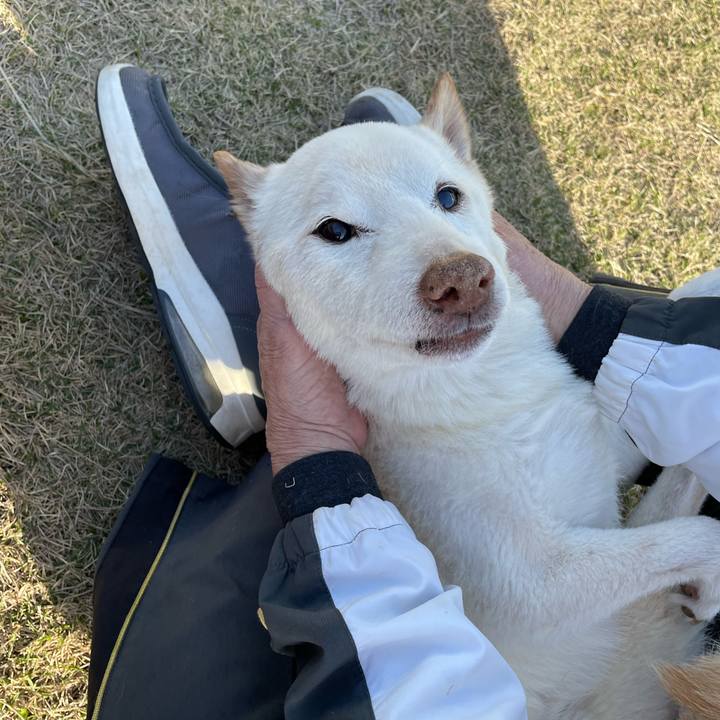 Df415ff4 bcee 4488 8d61 769f3e46a2c6 1678797919217